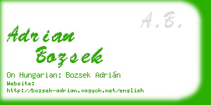 adrian bozsek business card