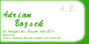 adrian bozsek business card